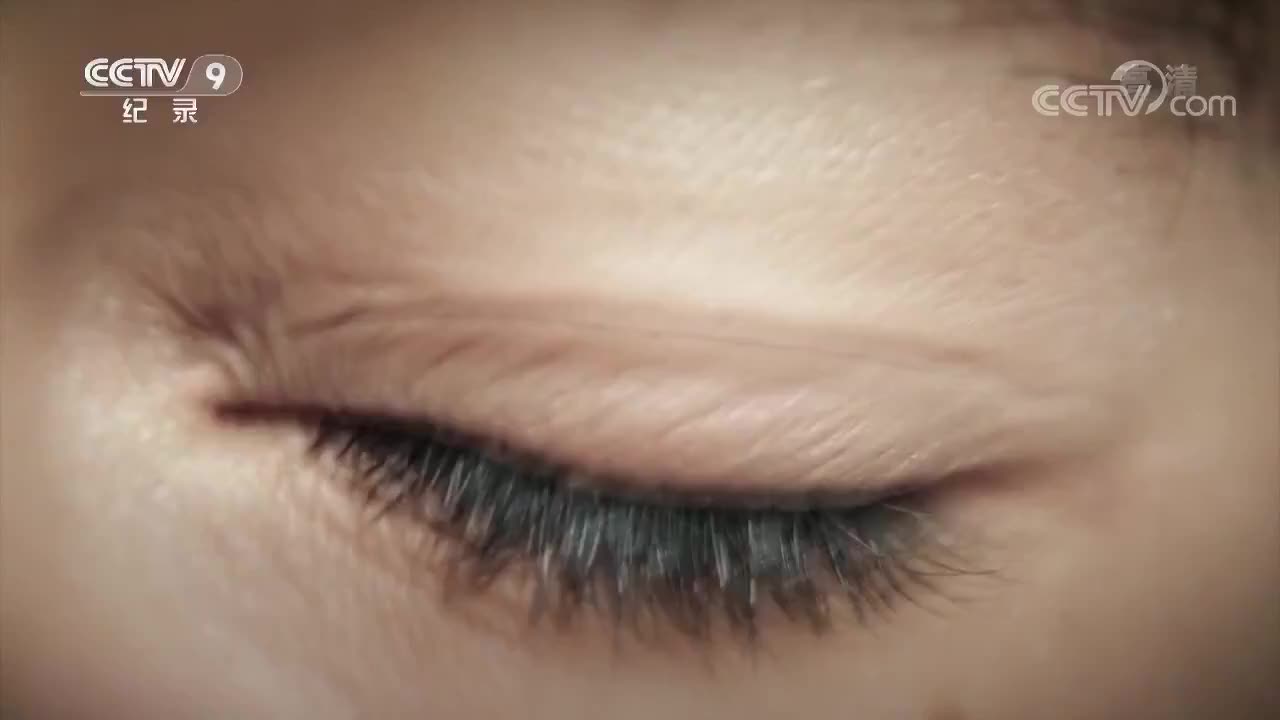 6 治本时代（下）