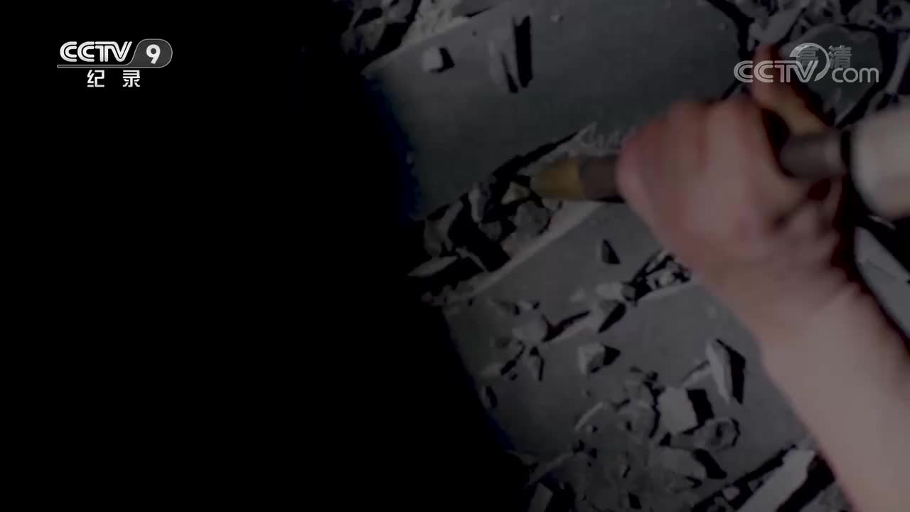 第1集 蒋介石身边的“王牌特工“