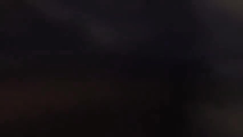 4.鹬