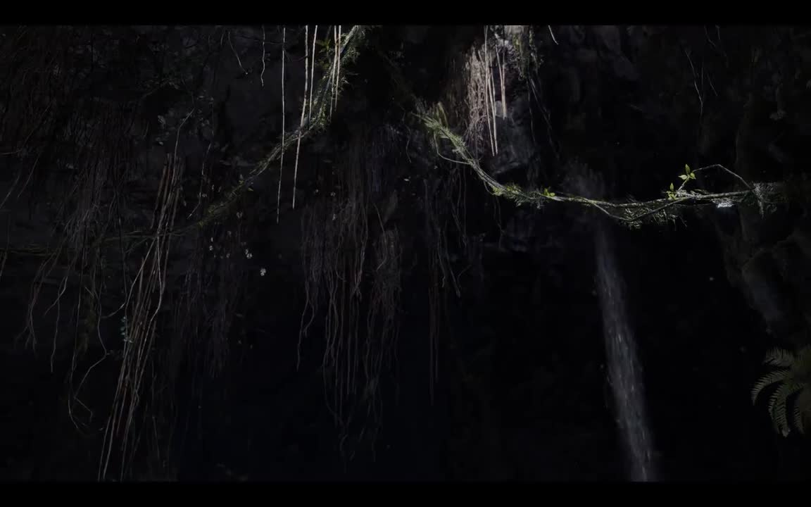 步步逼近的强者威胁（本是同根生，相煎何太急）