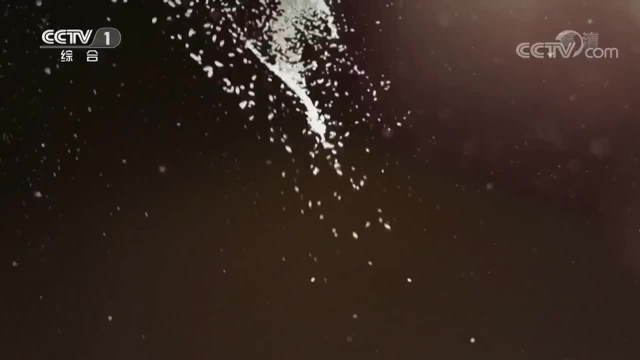 《中国粮的奇迹》 第二集 科技之力