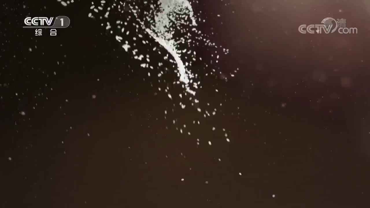 《中国粮的奇迹》 第一集 活力土地