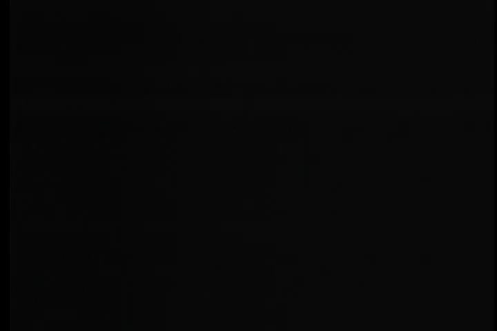 黄鹤翔-九妹LD转录 KTV黑体版