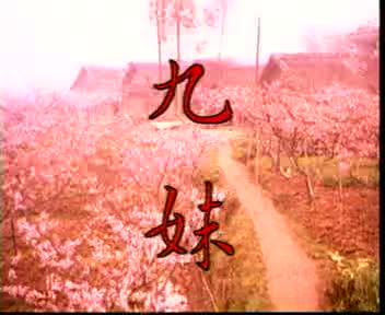 黄鹤翔-九妹MV[VCD]