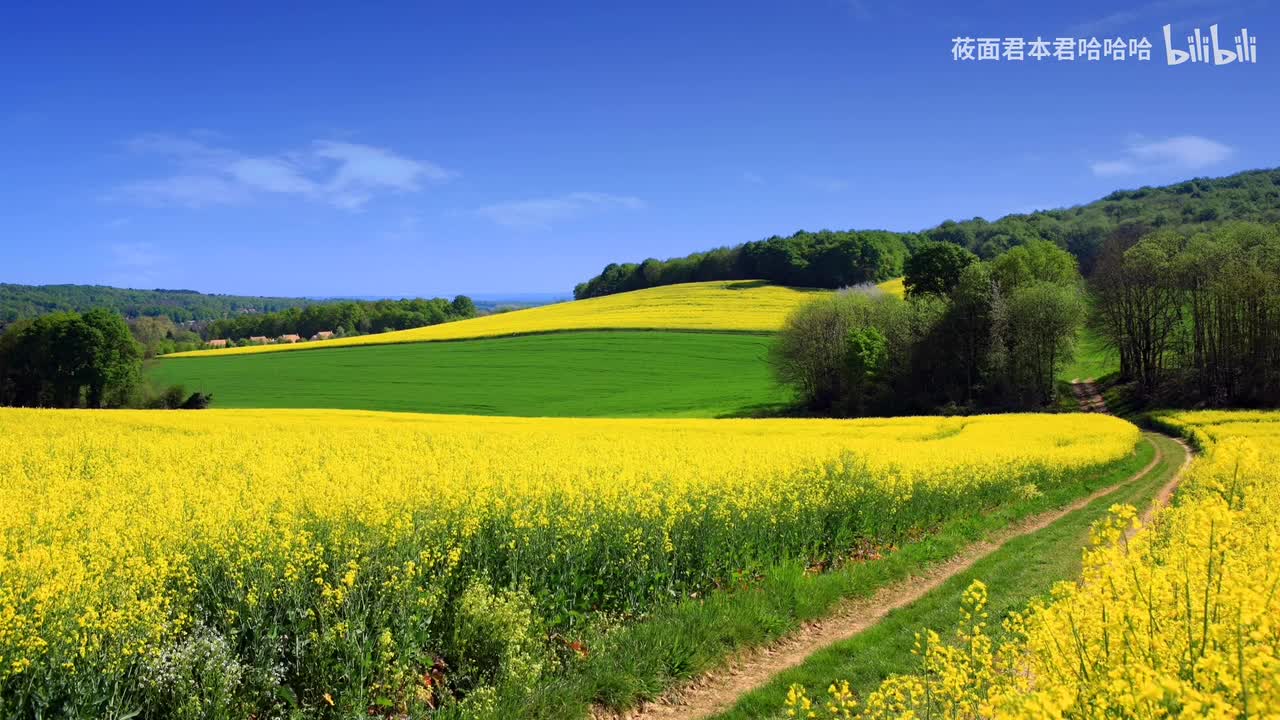 52.加藤达也 - のんびりとした午後のテラス