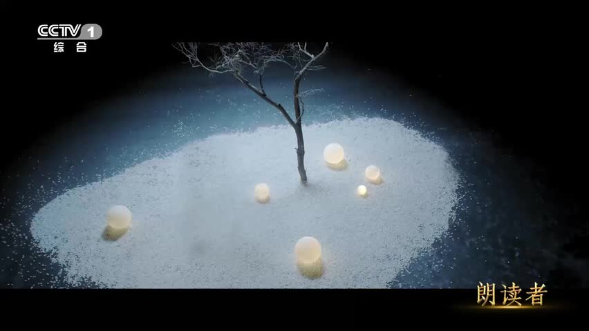 6.【朗读者】【故乡】故乡是年少时拼命想逃离，年老是拼命想回去的地方(Av85760461,P6)