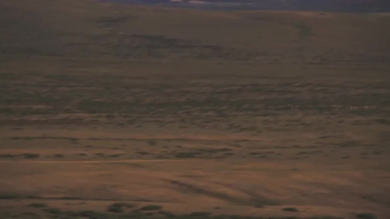 no.9 第二版 官方