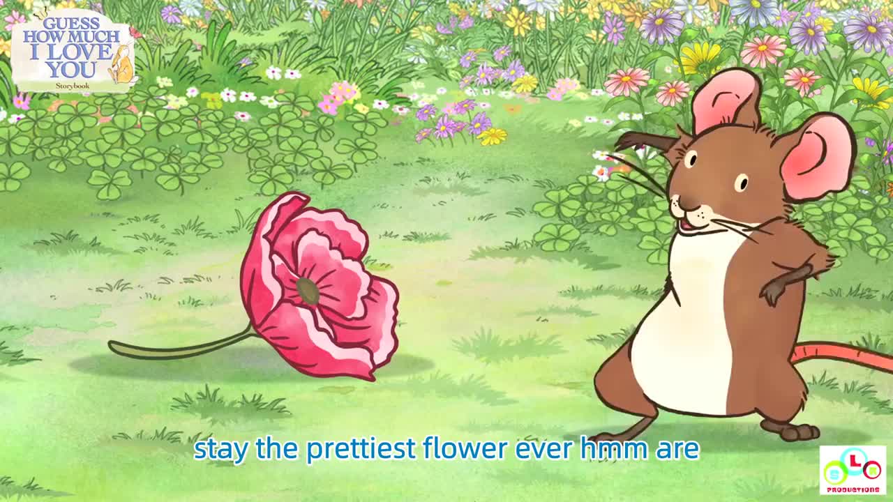 035. Guess How Much I Love You - FAVOURITE THING!