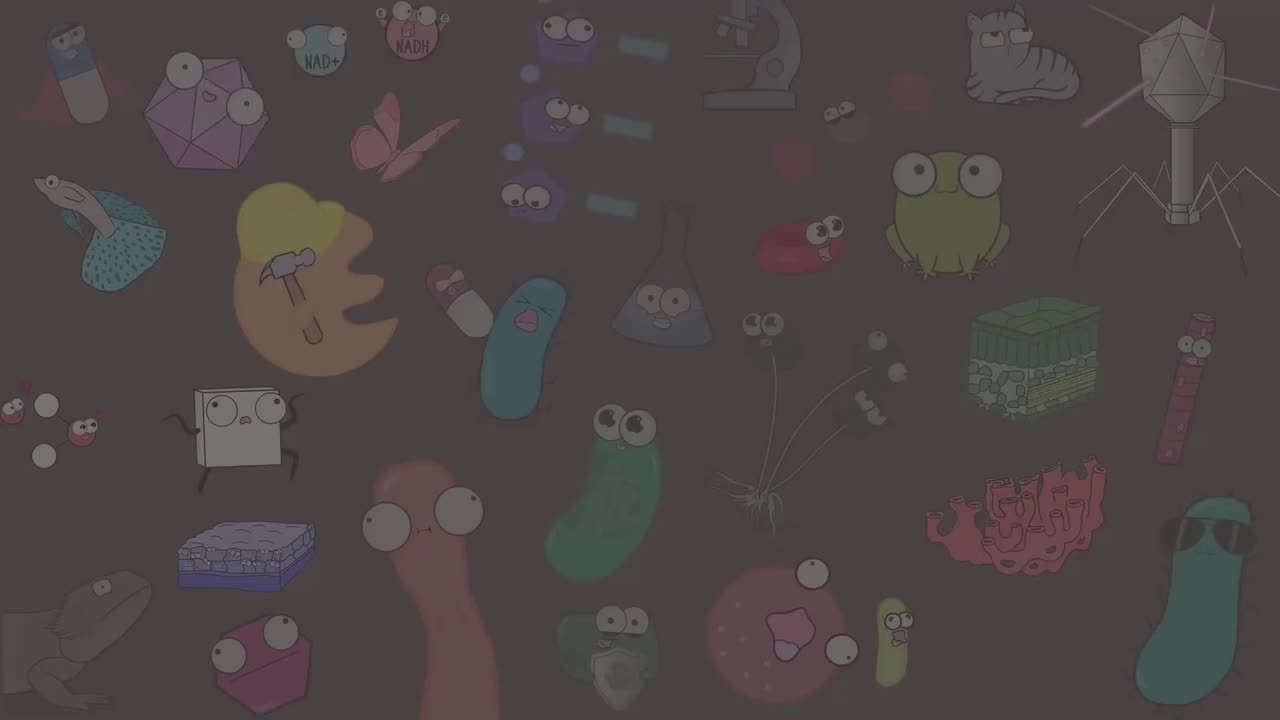 免疫系统 31-Immune System