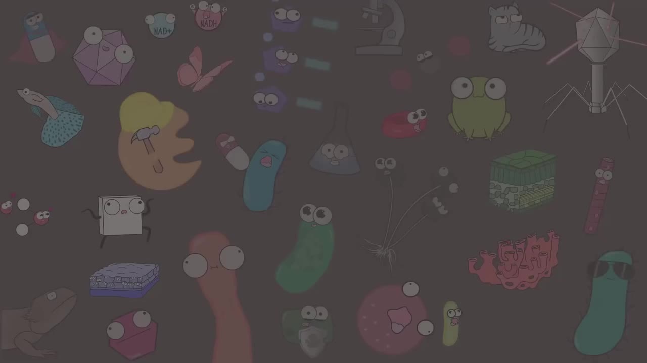 钠-钾泵 82-Sodium Potassium Pump