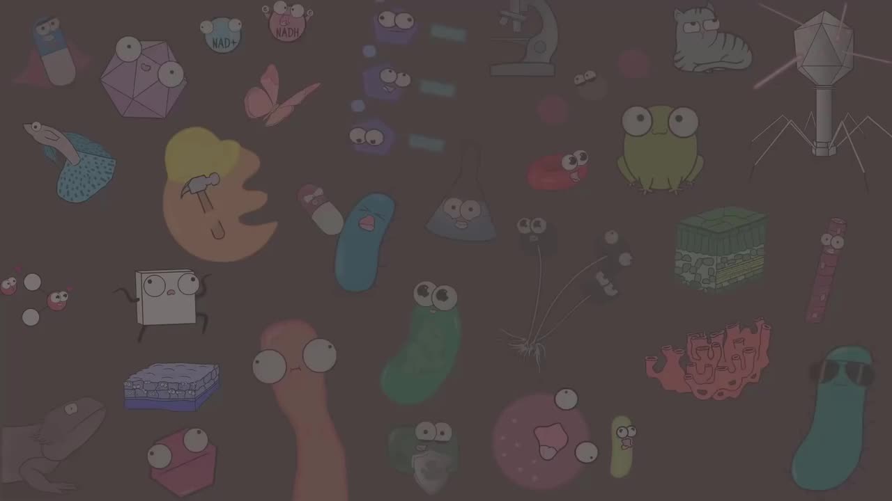 细胞呼吸(更新)55-Cellular Respiration (UPDATED)