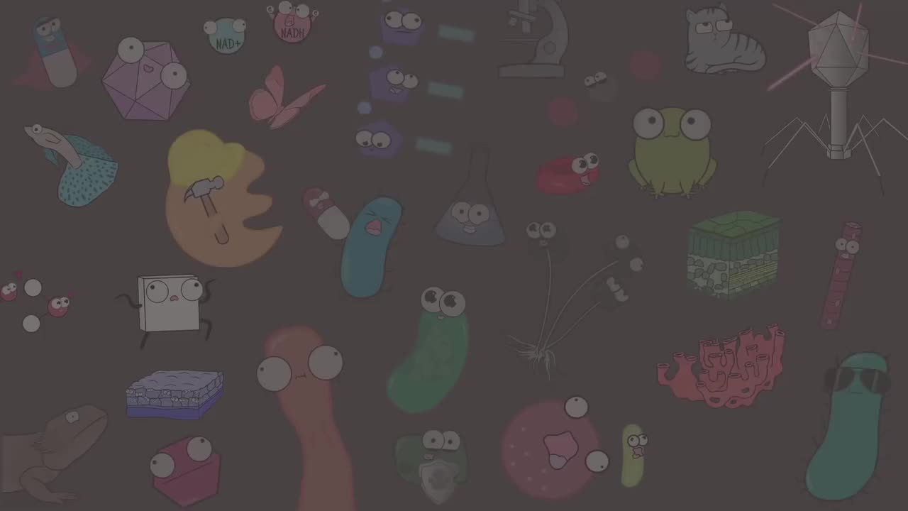 理论和法律的随意和科学运用 96-Casual and Scientific Use of Theory and Law