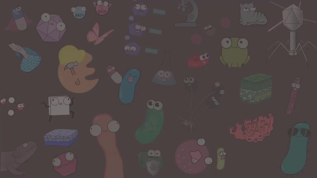 酶的例子，辅助因子酶，抑制剂和反馈抑制 99-Enzyme Examples, CofactorsCoenzymes, Inhibitors