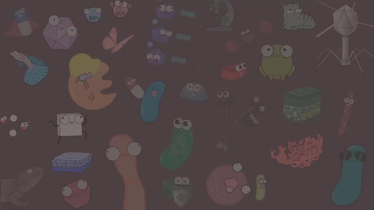 聚合酶链式反应 74-PCR (Polymerase Chain Reaction)