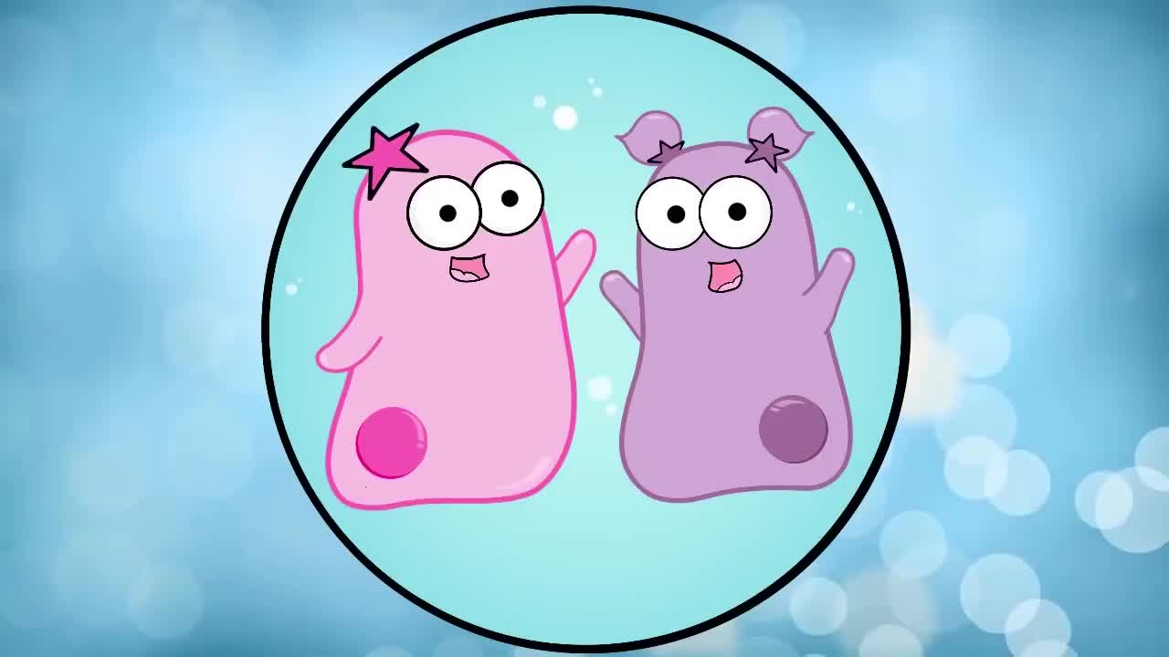 细胞如何变得特化 81-How Cells Become Specialized