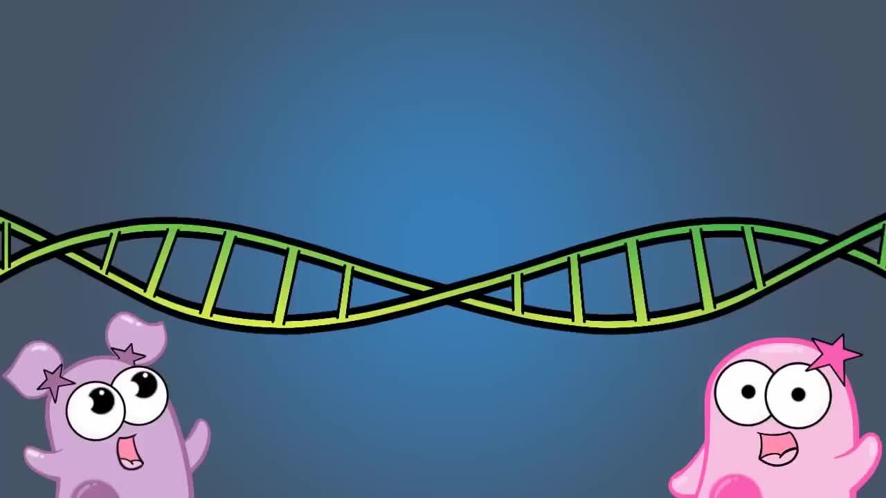 内稳态和负-正反馈 17-Homeostasis and NegativePositive Feedback