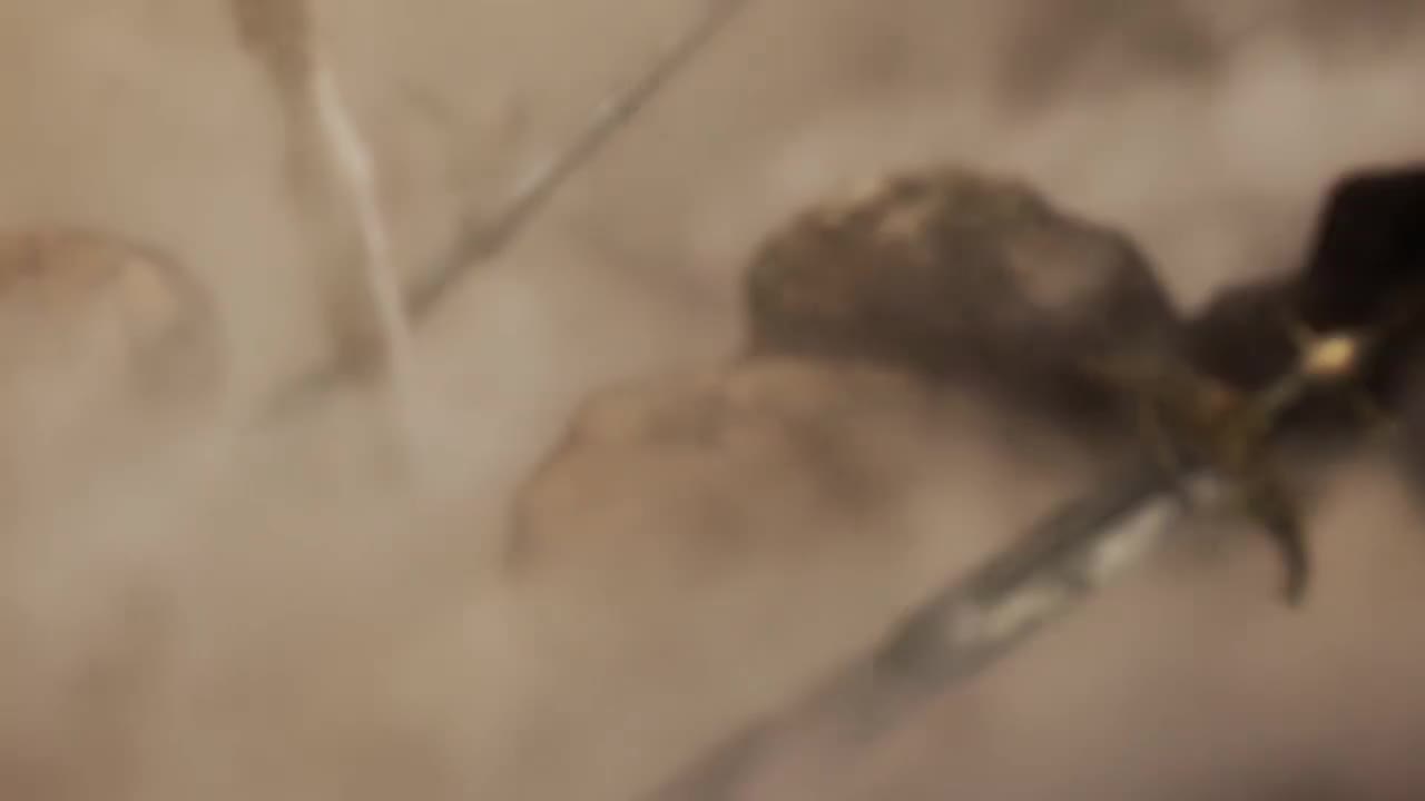 4K60帧/无字幕