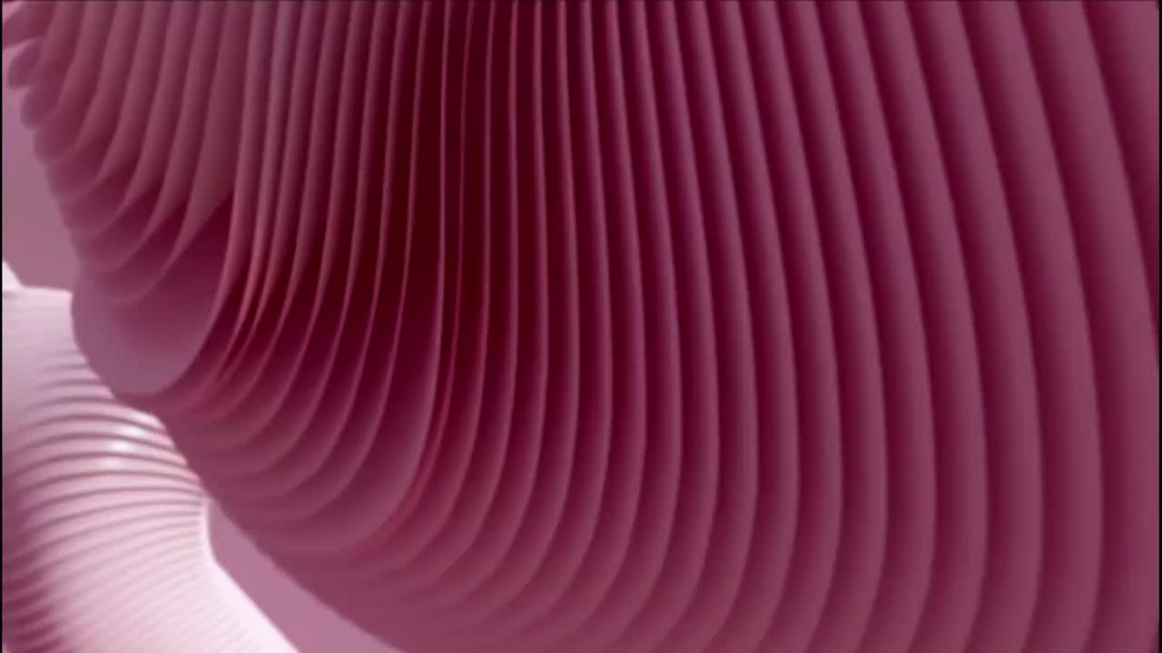 PG11L（不雅用语及暴力）喜剧之王 20230101