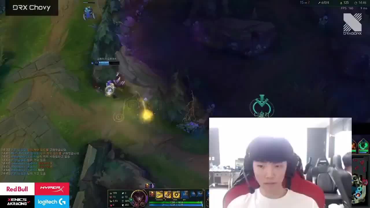 双排拌嘴兰（猫）