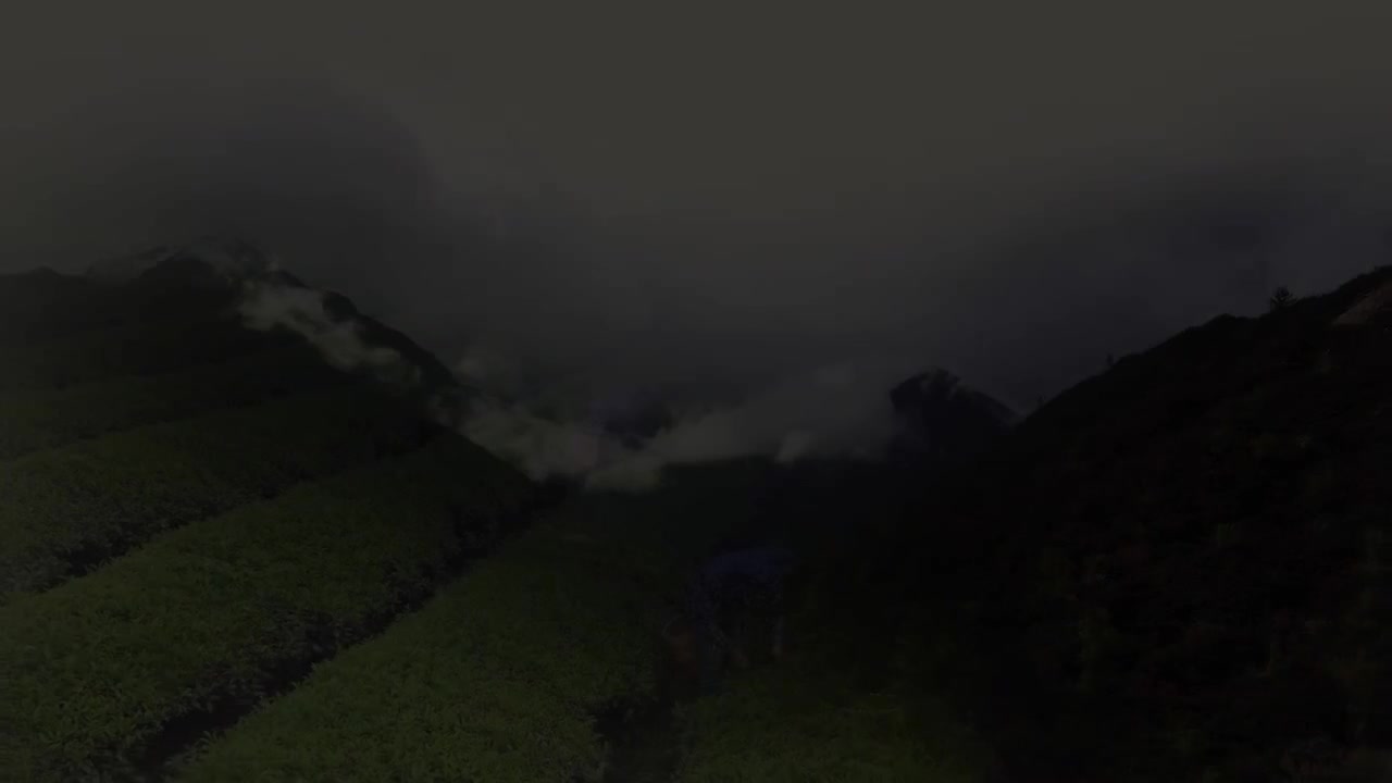 第11集 酒中深味：在黄酒这一古老的风味中，蕴含着中国人对自然之力的理解