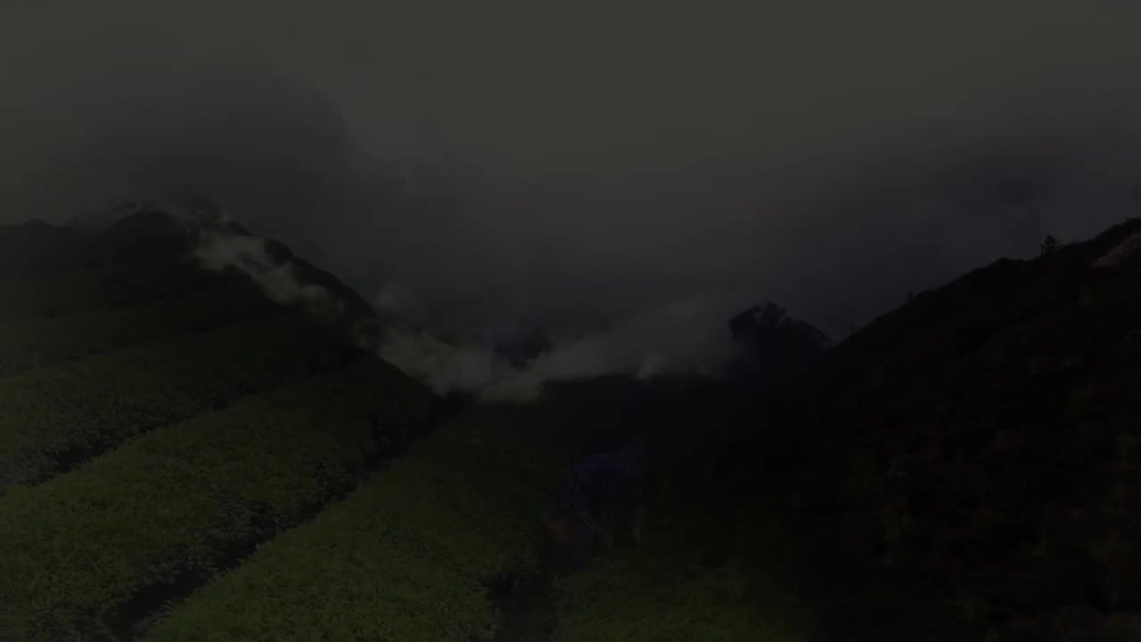 第8集 淡中知味：中国茶味—“淡”字中品味自然与人生