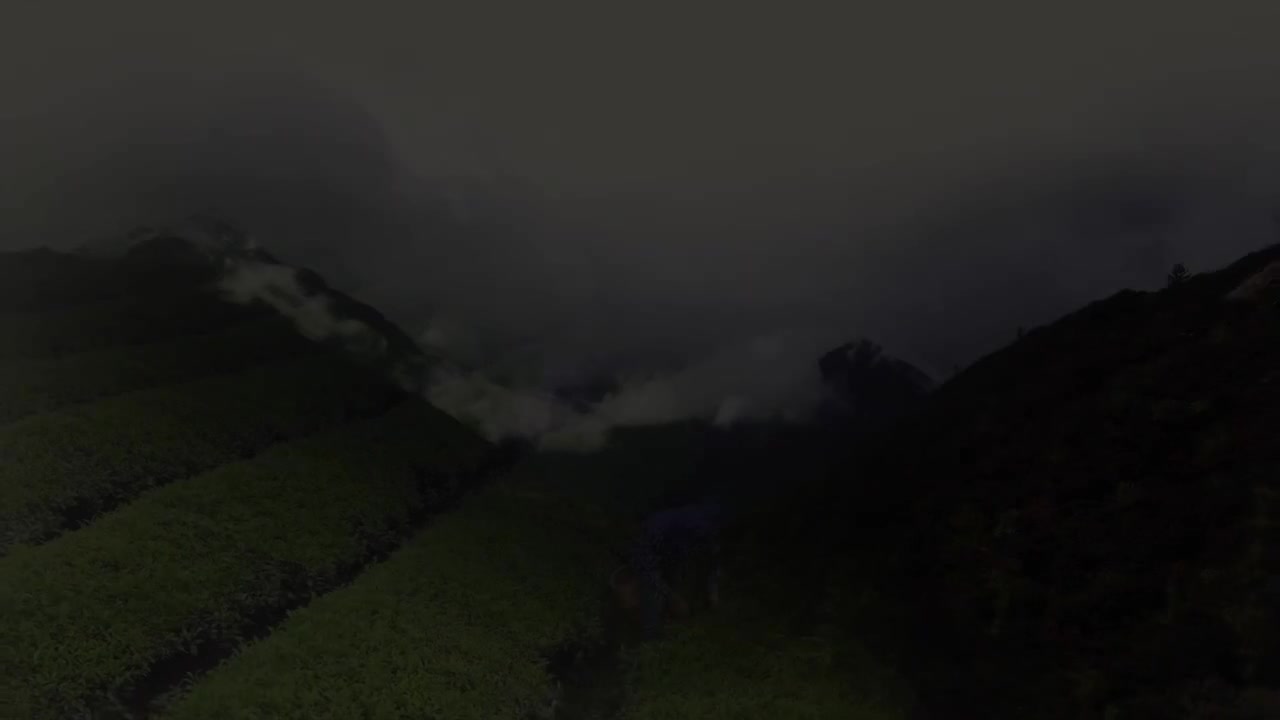 第12集 神奇的筷子：中国人夹取万物的工具，是怎么演变而来的？