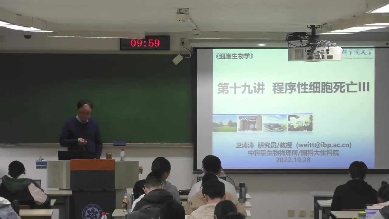 19.程序性细胞死亡（3）