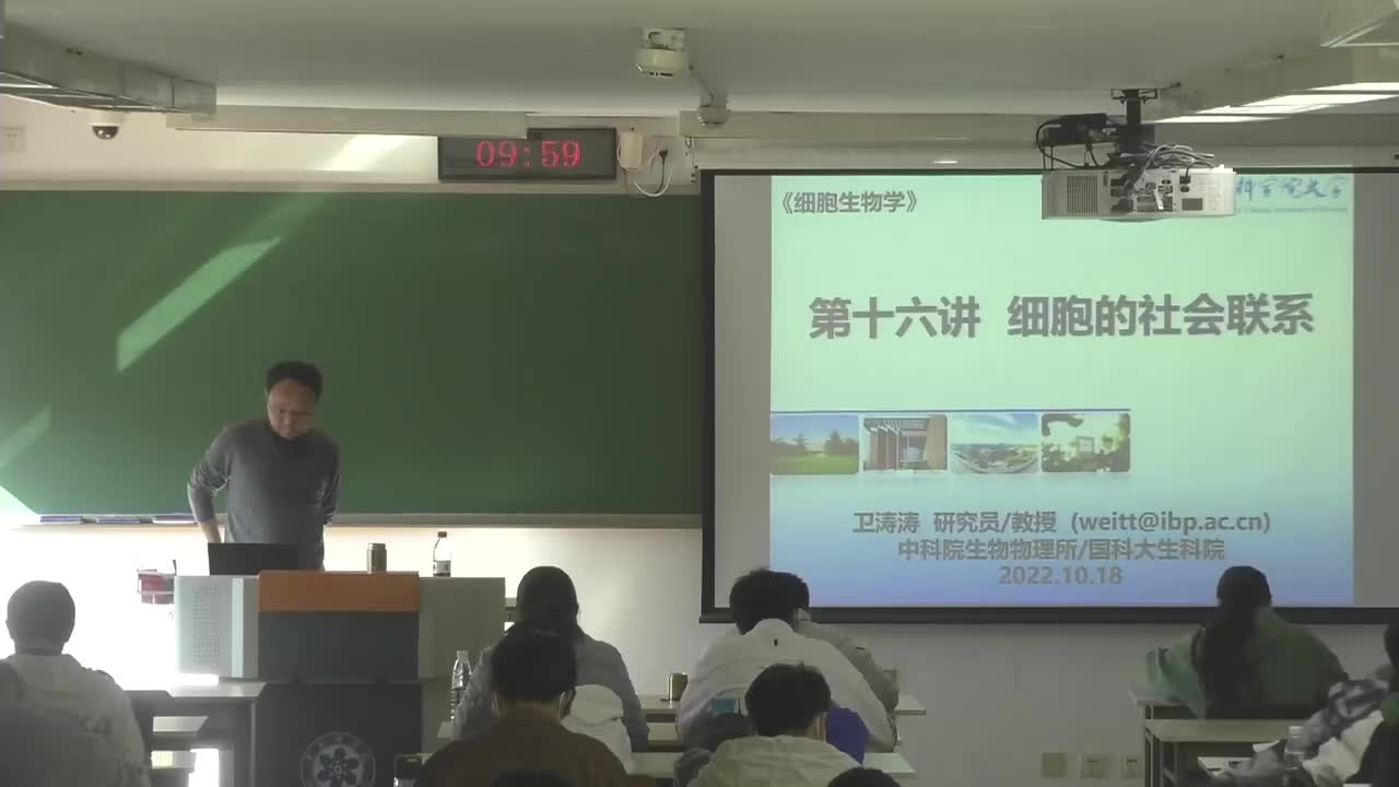 16.细胞的社会联系