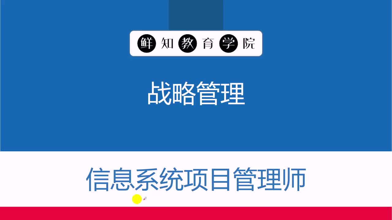 第17章-战略管理