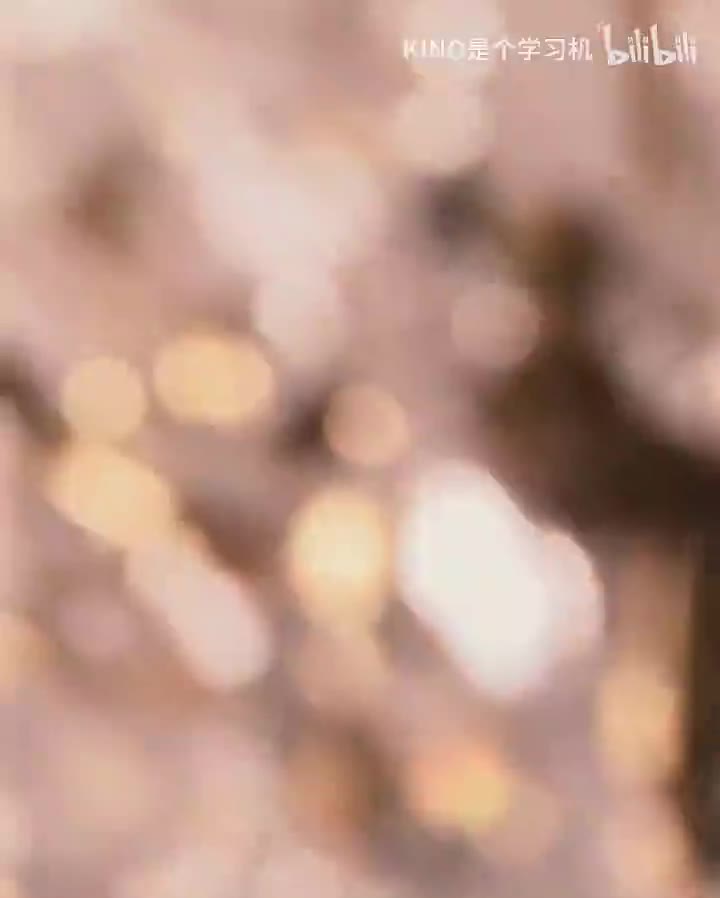 MaisonValentino 新增视频