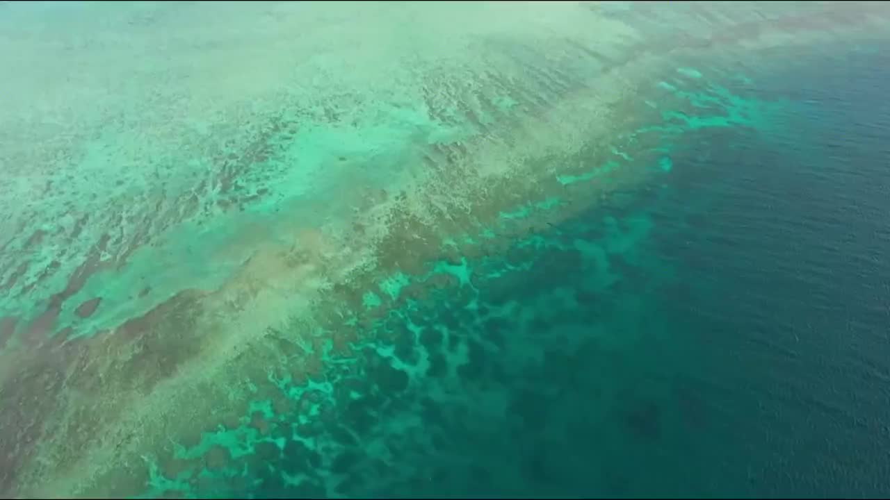 重温《蓝色星球》 第2集 大堡礁 [1080P]