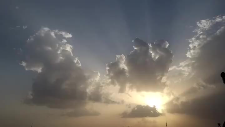 Pexels Videos 1452688