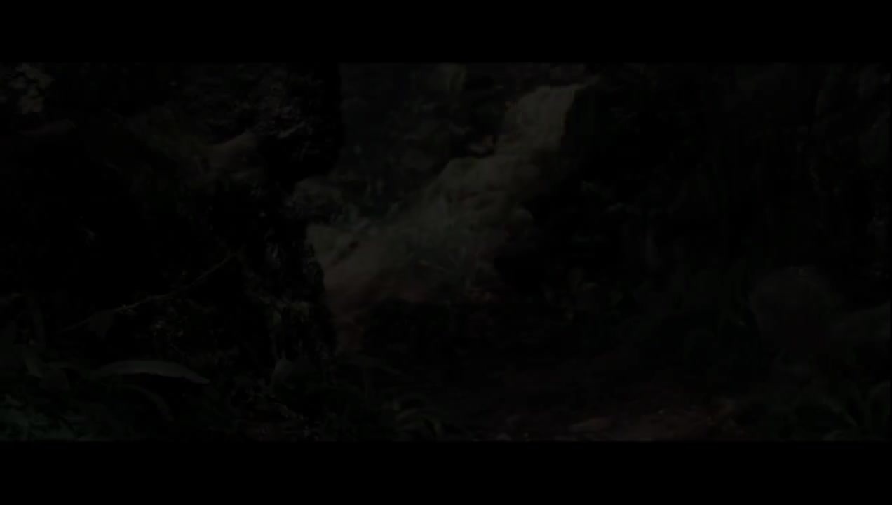 阿尔贡森林进攻方