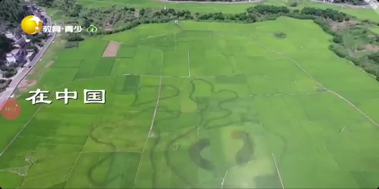 辽宁教育青少频道