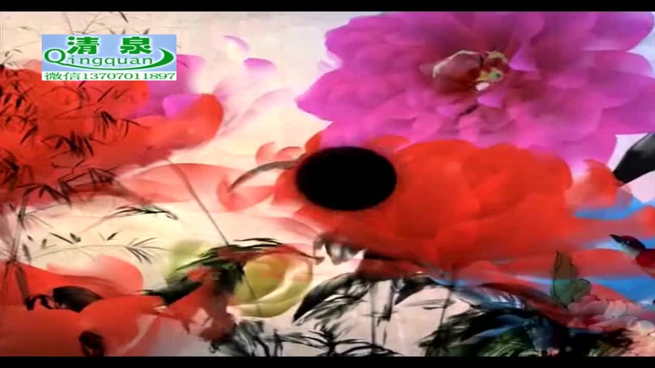 河南坠子《刘公传奇》19