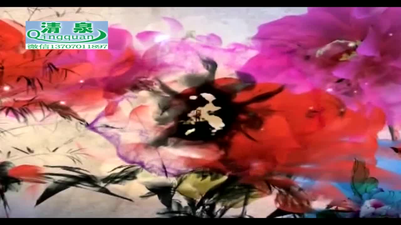 河南坠子《刘公传奇》23