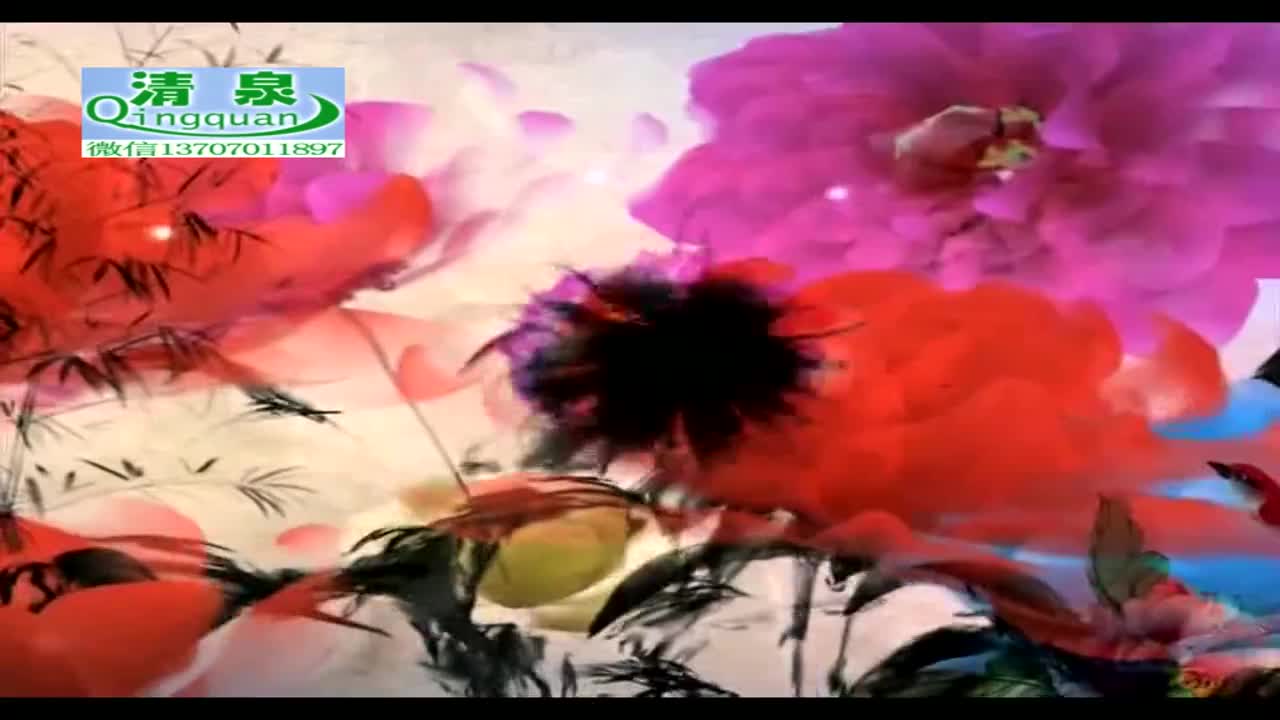 河南坠子《刘公传奇》13