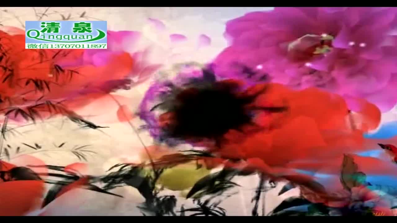 河南坠子《刘公传奇》09