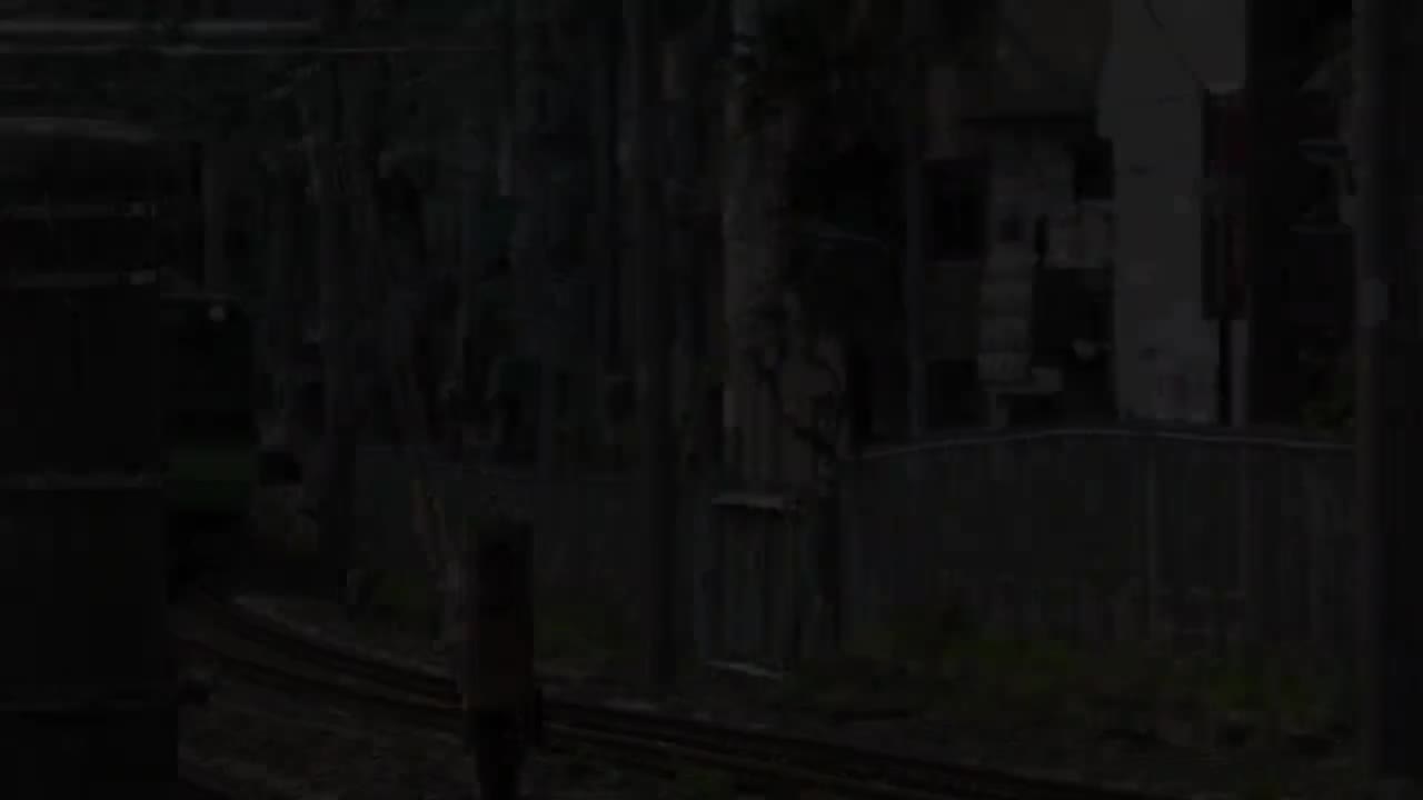 集結！首都圏の緑色の電車 通過集