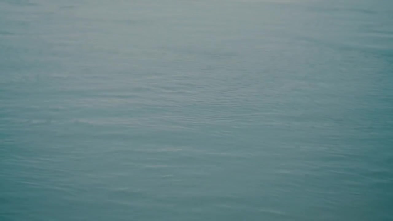 猫じゃらしOrchestra ver 2020.04.06