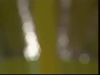 30赣南采茶戏-钓拐-difangxi.cn