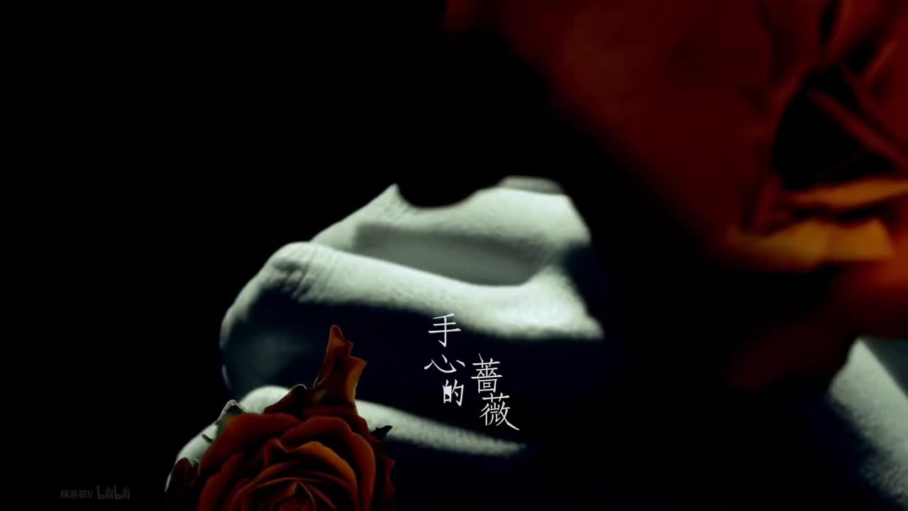 手心的蔷薇 【11th 新地球】