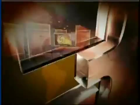 2007.0411从“小甜甜”看财富观