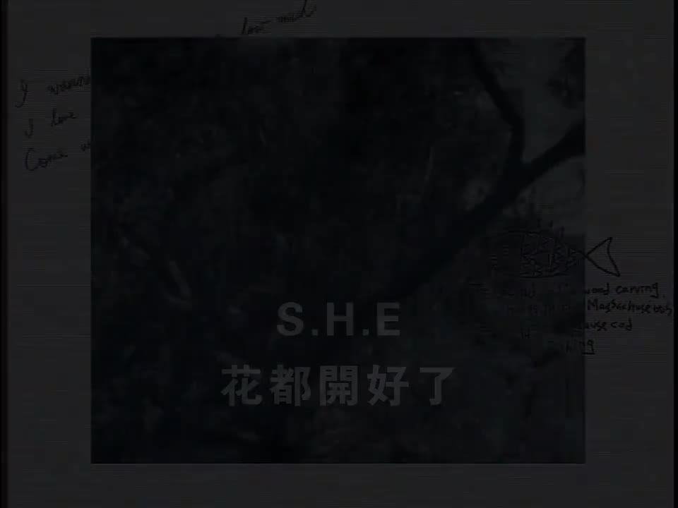 S.H.E - 花都开好了