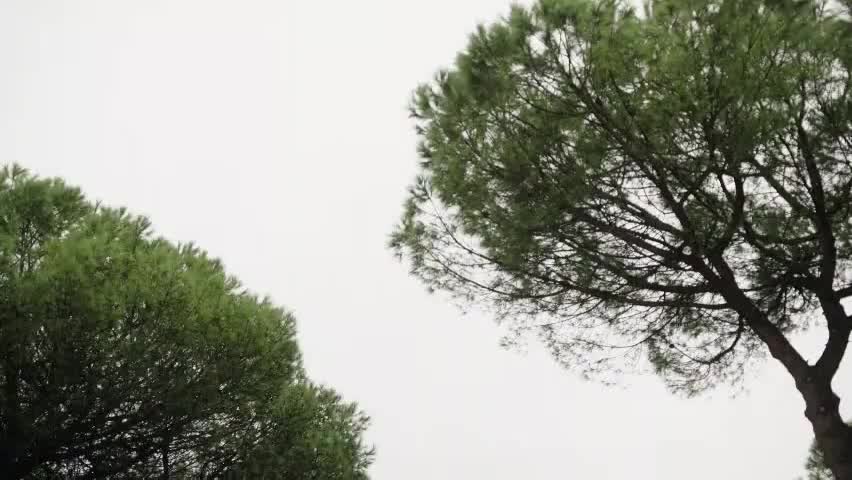 信仰的对决 Faith Off-2