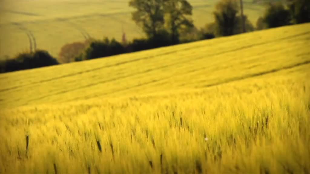 第二季 V7（最后一集）