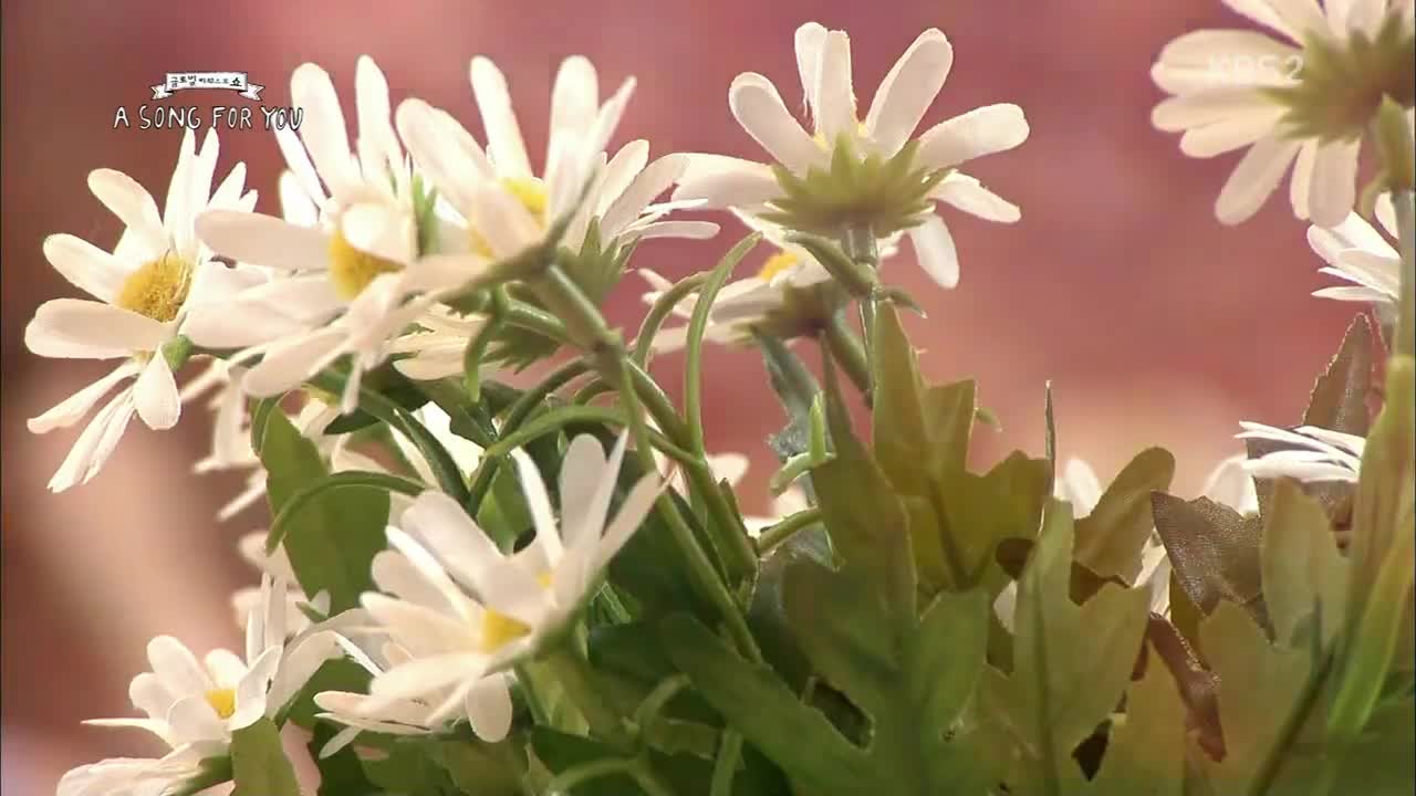 140817 AOA - Miniskirt (KBS Global Request Show 'A Song For You')