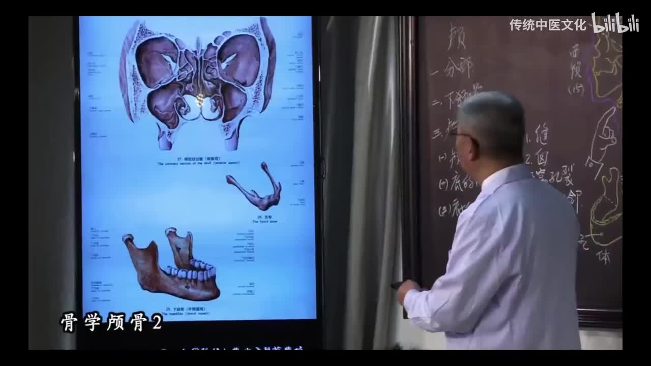 4-解刨学-运动系统-颅骨2