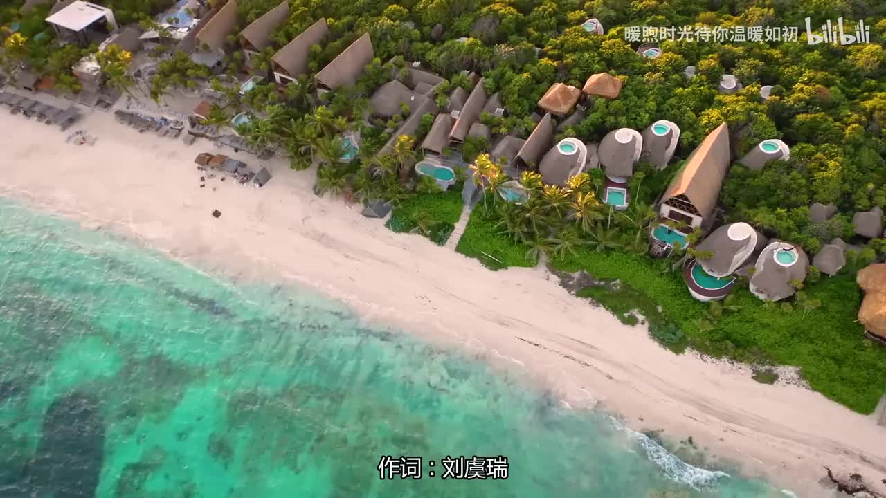 050.情网 - 张学友