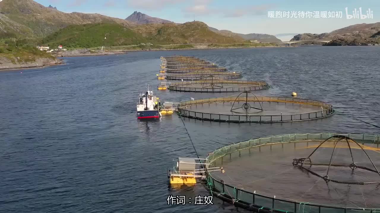 077.甜蜜蜜 - 邓丽君